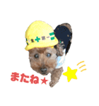 わんこのたけし（個別スタンプ：18）