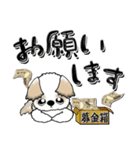 シーズー犬47『お金』（個別スタンプ：23）