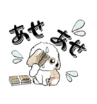 シーズー犬47『お金』（個別スタンプ：37）