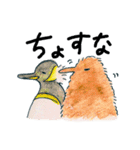 どさんこ動物園（個別スタンプ：23）