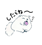 どさんこ動物園（個別スタンプ：27）