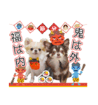チワワのるいとろろあ～季節のご挨拶編～（個別スタンプ：8）