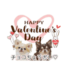 チワワのるいとろろあ～季節のご挨拶編～（個別スタンプ：9）