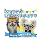 チワワのるいとろろあ～季節のご挨拶編～（個別スタンプ：17）
