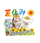 チワワのるいとろろあ～季節のご挨拶編～（個別スタンプ：19）