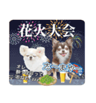 チワワのるいとろろあ～季節のご挨拶編～（個別スタンプ：20）