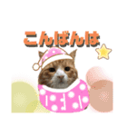 ゆうこの猫スタンプ2（個別スタンプ：4）