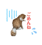 ゆうこの猫スタンプ2（個別スタンプ：11）