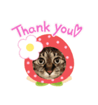 ゆうこの猫スタンプ2（個別スタンプ：15）