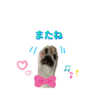 ゆうこの猫スタンプ2（個別スタンプ：16）