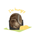 ハリネズミの可愛いphotoスタンプ2（個別スタンプ：6）
