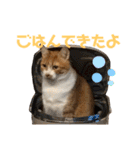 シマナツトラクゥスタンプ（個別スタンプ：4）