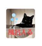 シマナツトラクゥスタンプ（個別スタンプ：10）