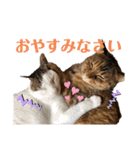 シマナツトラクゥスタンプ（個別スタンプ：24）