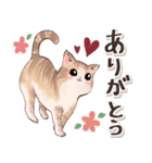 ねこ♡癒しのスタンプ（個別スタンプ：6）