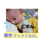 てんちゃん坊ちゃん2021,01,（個別スタンプ：17）
