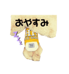 愛犬＆甥っ子（個別スタンプ：1）