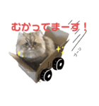 ミモザちゃんスタンプ（個別スタンプ：6）