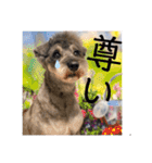 出演/シュナのるると猫と皆様（個別スタンプ：9）