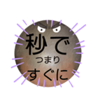 べーやんの坊主頭でJKトーク！（個別スタンプ：12）