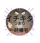 べーやんの坊主頭でJKトーク！（個別スタンプ：14）