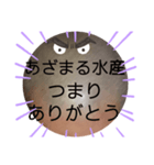 べーやんの坊主頭でJKトーク！（個別スタンプ：15）