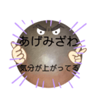 べーやんの坊主頭でJKトーク！（個別スタンプ：35）