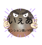 べーやんの坊主頭でJKトーク！（個別スタンプ：39）