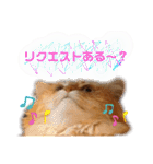 チャッピーと一緒Ⅳ（個別スタンプ：5）