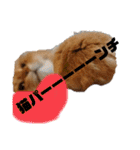 チャッピーと一緒Ⅳ（個別スタンプ：11）