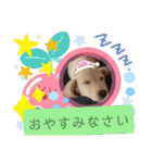 マロン大人の敬語（個別スタンプ：4）
