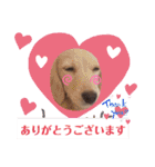 マロン大人の敬語（個別スタンプ：7）