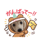 マロン大人の敬語（個別スタンプ：22）