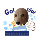 マロン大人の敬語（個別スタンプ：29）