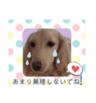 マロン大人の敬語（個別スタンプ：30）