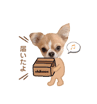 どうも、ちくわです3【自粛編】（個別スタンプ：16）