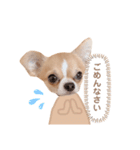 どうも、ちくわです3【自粛編】（個別スタンプ：17）