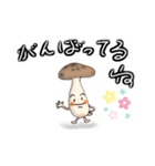 しめじくんでーす（個別スタンプ：1）