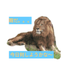 動物の気持ち2（個別スタンプ：1）