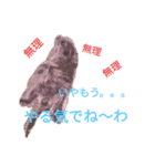 動物の気持ち2（個別スタンプ：4）