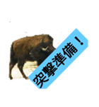 動物の気持ち2（個別スタンプ：6）