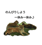 動物の気持ち2（個別スタンプ：14）