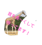 動物の気持ち2（個別スタンプ：16）