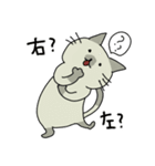 方向音痴の猫こごみちゃん（個別スタンプ：1）