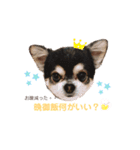 たわ君スタンプ（個別スタンプ：8）