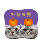 猫のベンの日常生活 5（個別スタンプ：3）