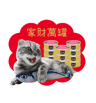 猫のベンの日常生活 5（個別スタンプ：5）