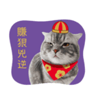 猫のベンの日常生活 5（個別スタンプ：6）
