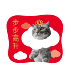 猫のベンの日常生活 5（個別スタンプ：7）