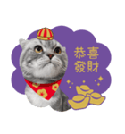猫のベンの日常生活 5（個別スタンプ：9）